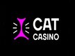 Cat Casino
